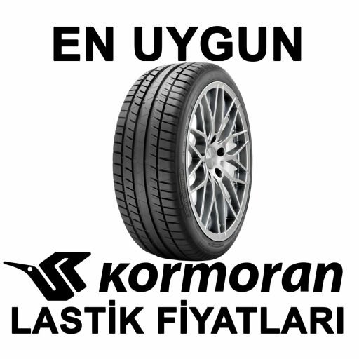Kormoran
