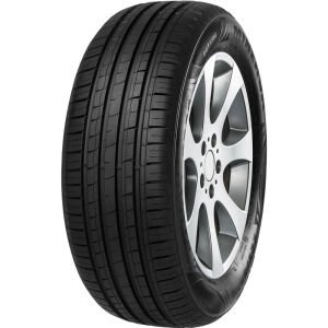 205/70R14 95T F209 Minerva