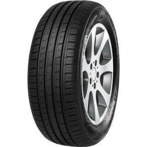 205/70R14 95T F209 Minerva